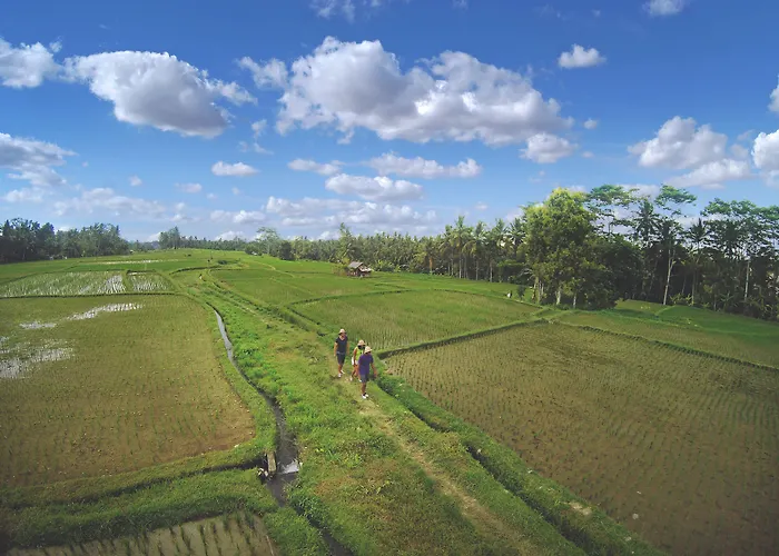 Dedary By Ini Vie Hospitality Ubud